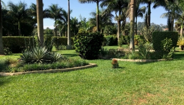AVH-Lower-gardens-scaled.jpg