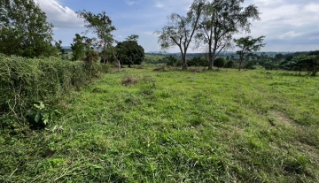 NAKASEETA-11-1080x785.jpeg