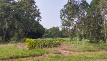 WhatsApp-Image-2022-06-13-at-11.41.19-AM-780x390-c.jpeg