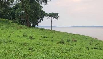 Private Island for Sale – Perfect for a Luxury Resort Development | Mazinga Island, Lake Victoria, Uganda