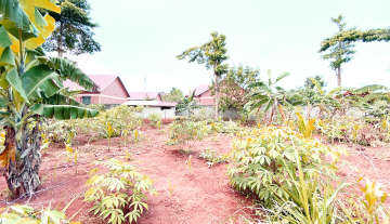 1 Acre property for Sale in Entebbe