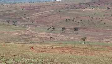 HOT: Affordable land for sale
