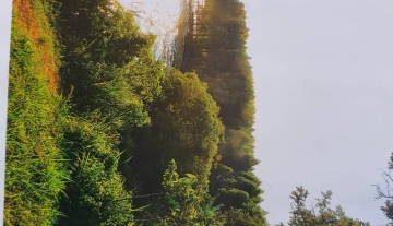 Land with a clear lake view in Buwama