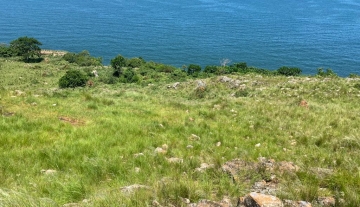 25 acres on sale in Mulungu, Buikwe, Mukono  
